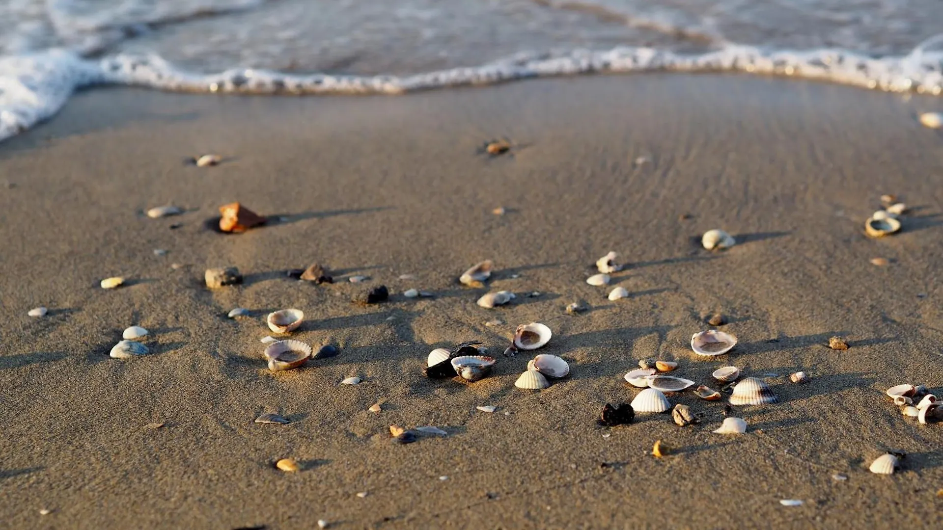 Comfortable Family Escape - Beahost Bibione 0*,  Italy